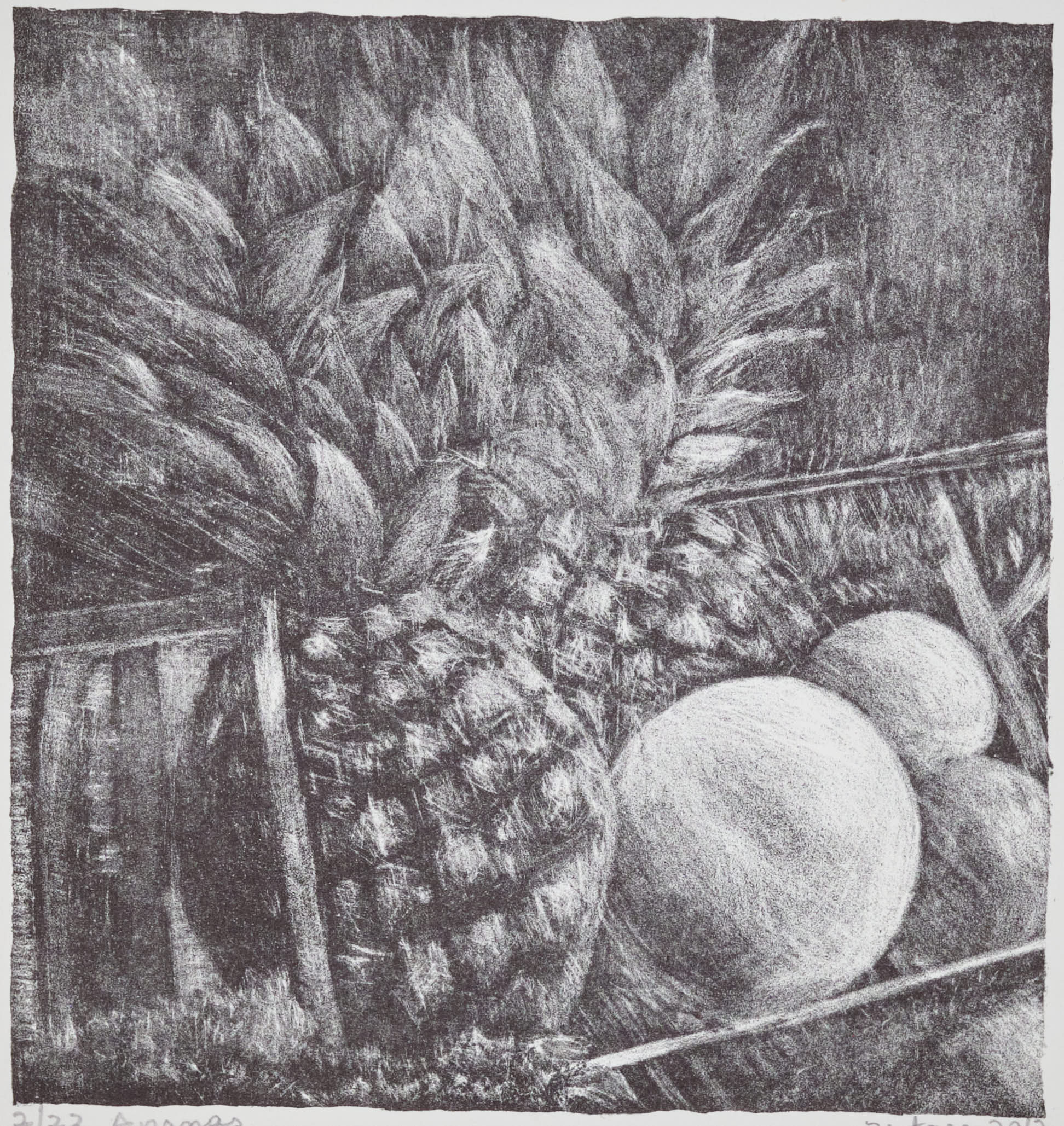 Ananas